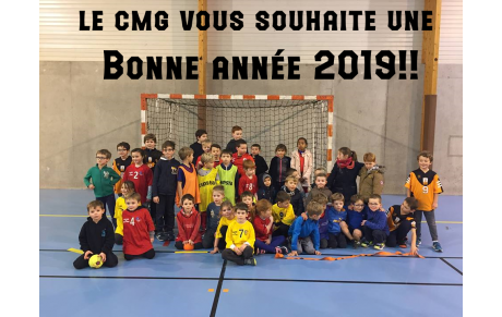 Voeux pour 2019